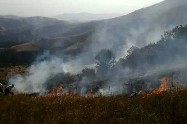 مهار آتش سوزی در منطقه حفاظت شده جهان نما توسط محیط بانان