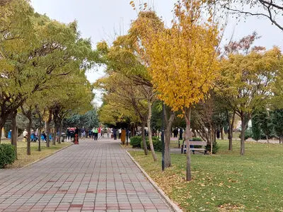  قرارداد همسان فضای سبز در قزوین تدوین شد