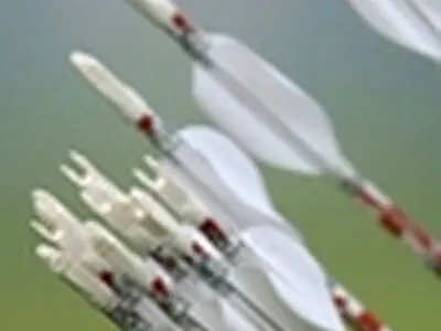 میکس کامپوند ایران نقره گرفت / ریکروی ها حذف شدند