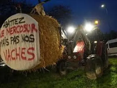 کشاورزان فرانسوی ساختمان‌های دولتی را با کاه مسدود کردند + فیلم