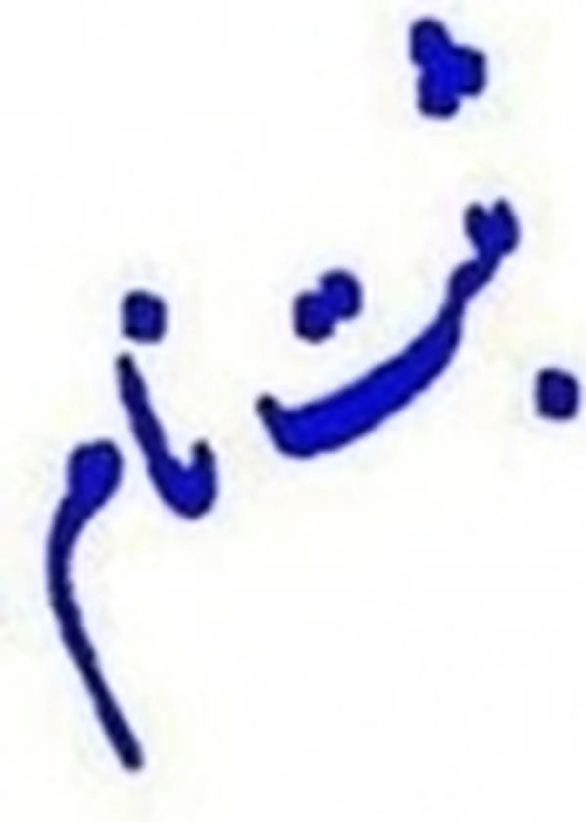 افزایش ۱۰ درصدی شرکت دانش آموزان در مسابقات فرهنگی و هنری
