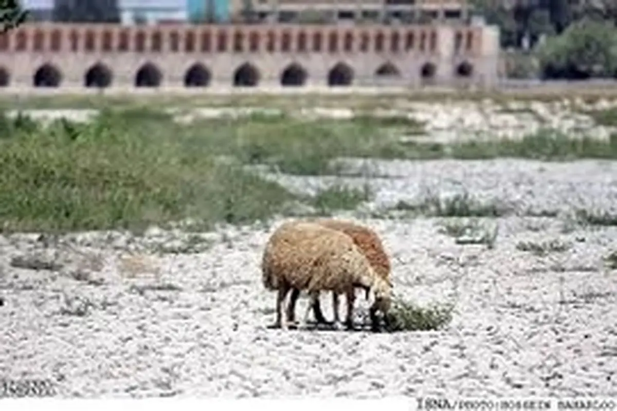 خط دوم لوله آب یزد در سکوت انتقال داده می شود