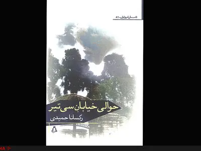 رمان «حوالی خیابان سی‌تیر» منتشر شد