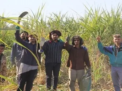 اعتراض کارگران فصلی هفت تپه نسبت به بی‌ثباتی شغلی