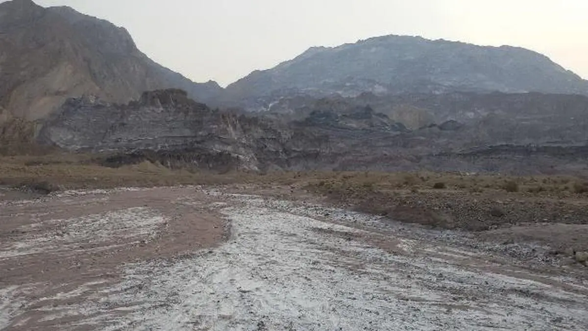 نجات دامدار گرفتار در کوه‌های دشتی