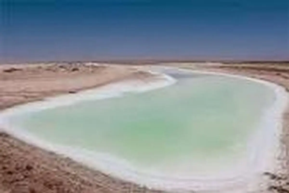 اهمیت احیای تالاب بین‌المللی گاوخونی کمتر از زاینده‌رود نیست