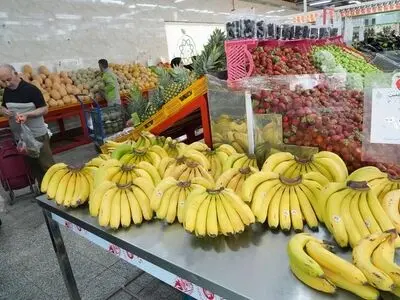 قیمت انواع میوه در بازارهای میوه و تره بار کاهش یافت