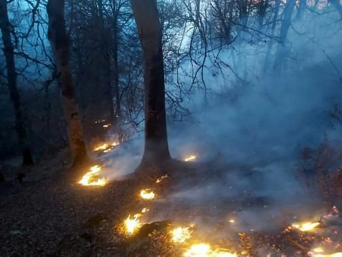 آتش سوزی در جنگل‌های درفک مهار شد / آتش بی دقتی مسافران تن جنگل‌های درفک را سوزاند