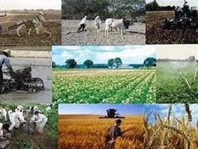 پرداخت تسهیلات روستایی توسط بانک‌ها قفل شده است