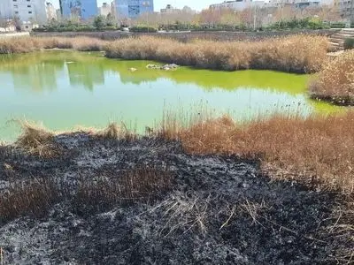 تکذیب شایعه اصابت موشک یا پهپاد در پارک فروزان شیراز