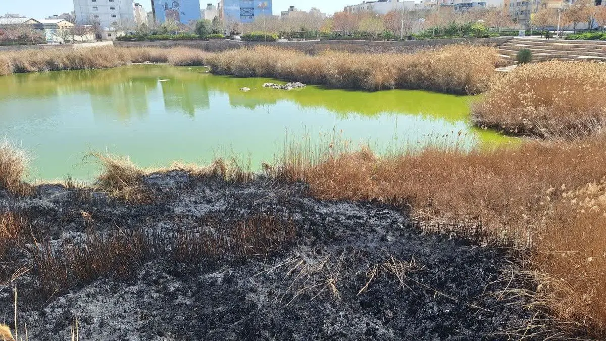 تکذیب شایعه اصابت موشک یا پهپاد در پارک فروزان شیراز