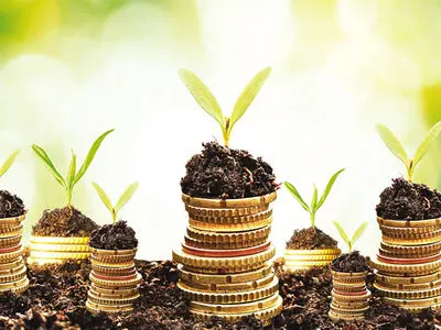 لزوم حمایت از تولید بذر گیاهان دارویی در راستای خودکفایی و رشد اقتصادی