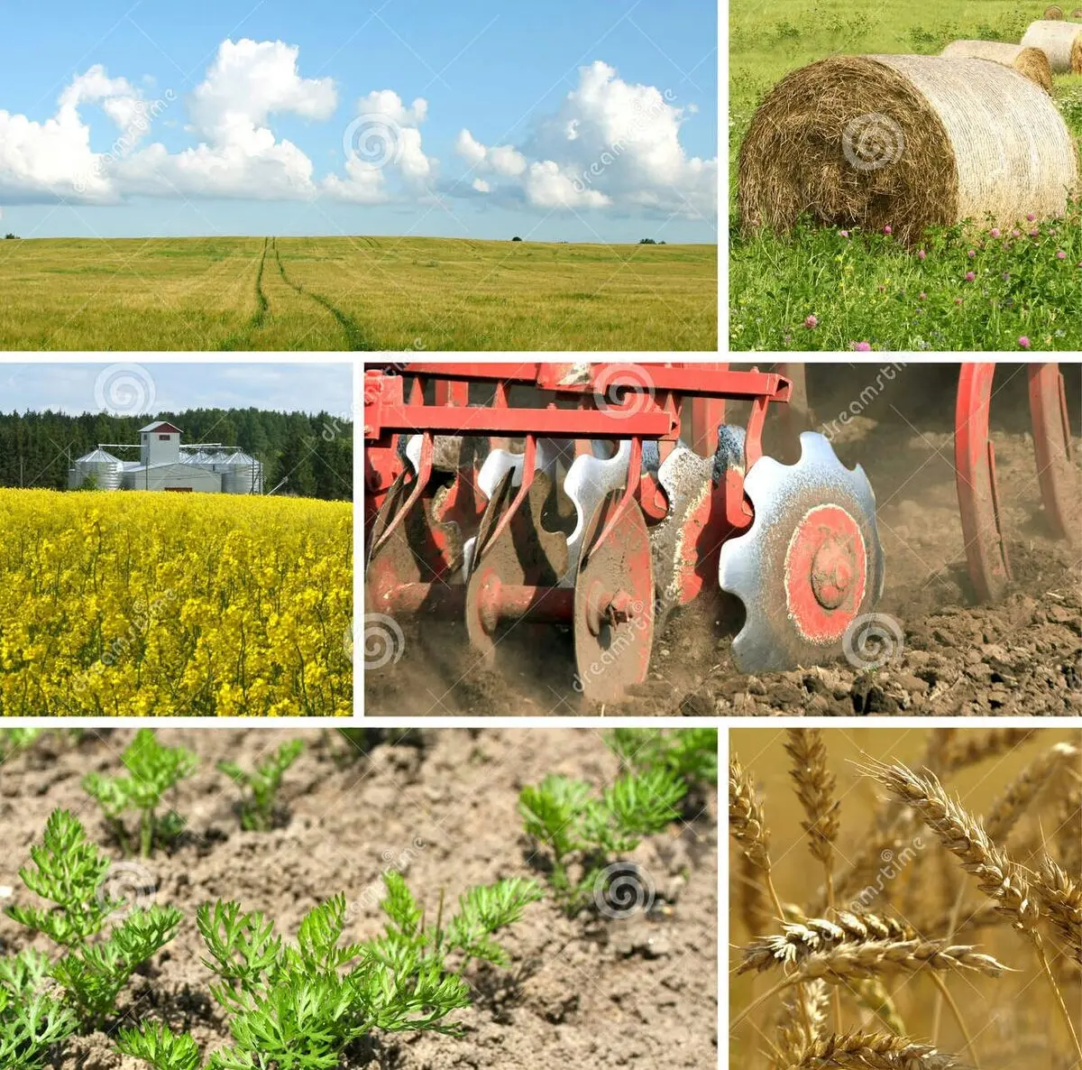 نقش مهم تعاونی های  روستایی در دستیابی به توسعه پایدار 