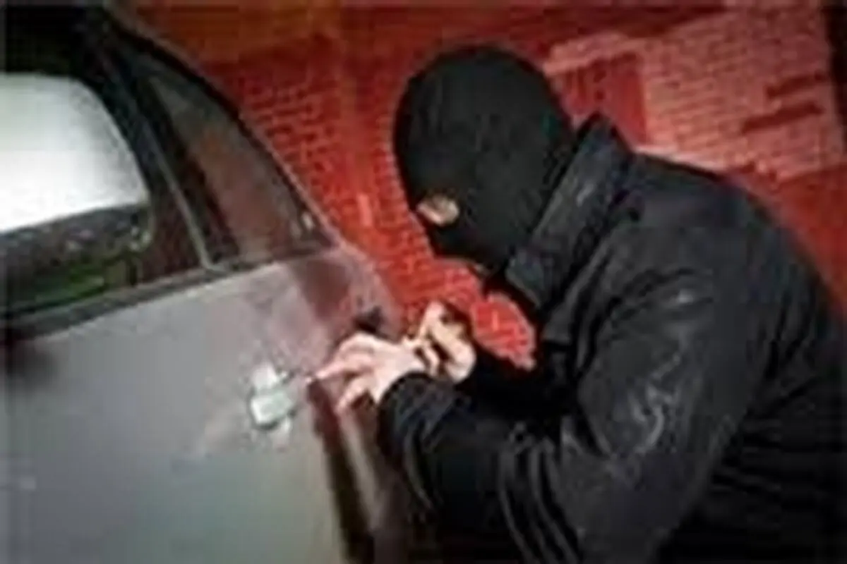 دو سارق حرفه‌ای در دو عملیات جداگانه دستگیر شدند
