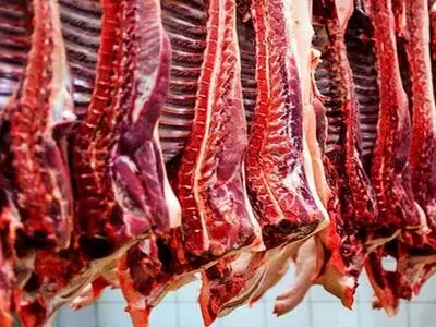 افزایش کشتار دام مولد در خراسان رضوی طی یکسال اخیر