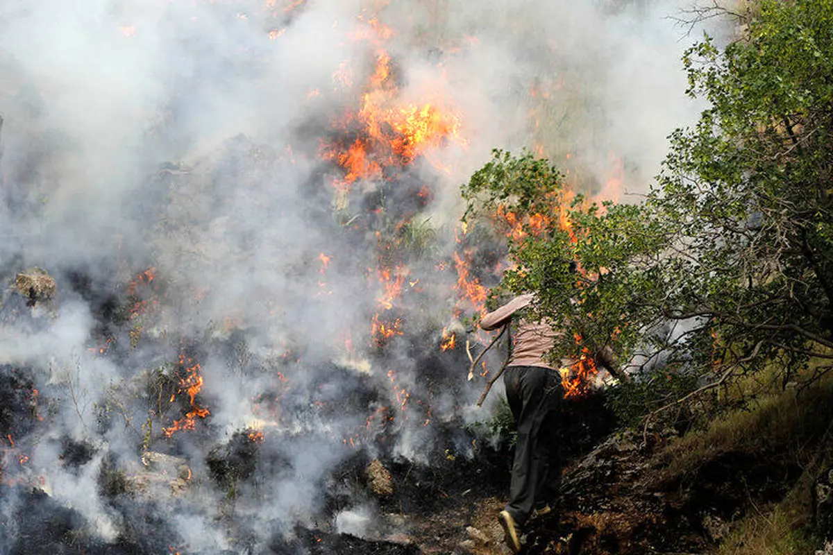 آتش همچنان الیت را می‌سوزاند؛ واقعا خطای انسانی تنها عامل است؟!

