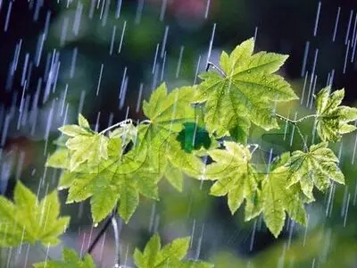 پیش‌بینی وزش باد شدید و رگبارهای بهاری برای لرستان