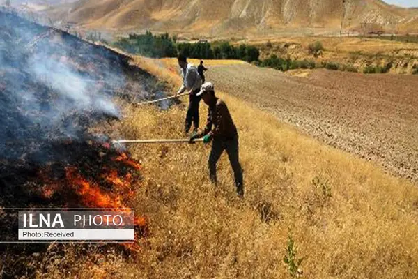 مهار آتش سوزی در محدوده پارک ملی بمو