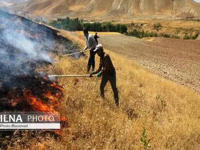 «صاعقه» و «خطای سهوی انسانی» عمده‌ترین دلایل آتش‌سوزی‌های اخیر در مناطق زاگرس نشین