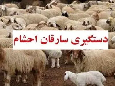 دستگیری 5 سارق حرفه‌ای احشام در شهرستان دهلران