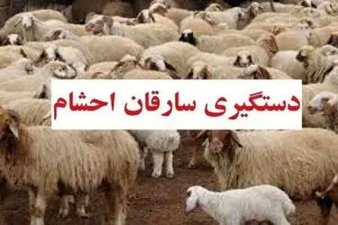 دستگیری 5 سارق حرفه‌ای احشام در شهرستان دهلران