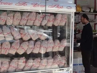 تعامل مرغداران برای افزایش قیمت مرغ زنده/ حذف مرغ از سبد غذایی قشر کم درآمد