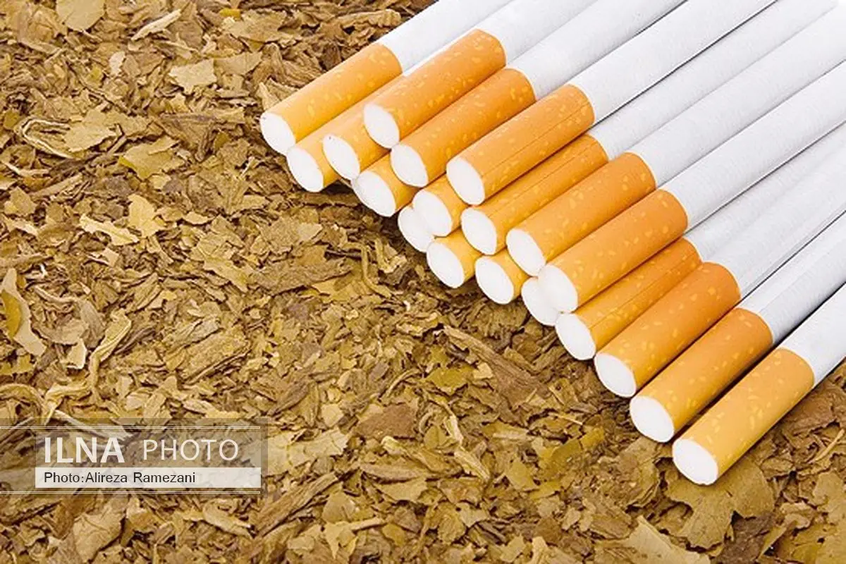 کاهش تولید سیگارت در مجتمع دخانیات گیلان