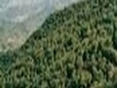آزاد سازی ۱۶۰ هکتار از عرصه جنگلی و مرتعی مازندران