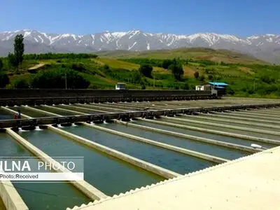 تبدیل لرستان به قطب تولید ماهیان خاویاری