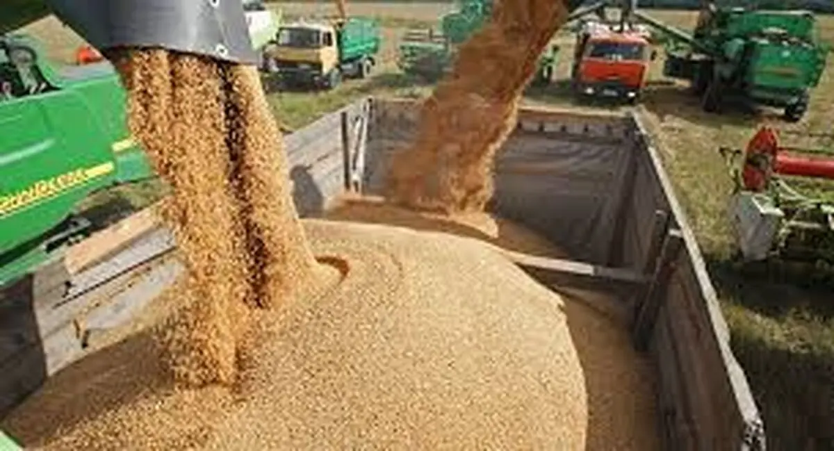 کارگران کارگاه‌های روغن‌گیری آرژانتین اعتراض کردند/ به صدا درآمدن زنگ خطر برای بزرگترین صادرکننده غله جهان
