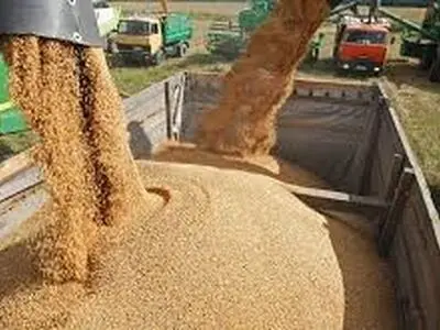 کارگران کارگاه‌های روغن‌گیری آرژانتین اعتراض کردند/ به صدا درآمدن زنگ خطر برای بزرگترین صادرکننده غله جهان
