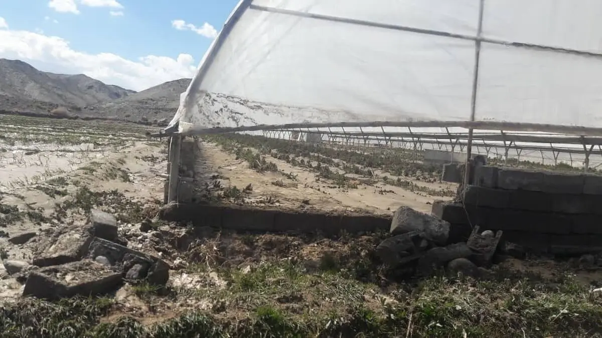 خسارت ۲۵۴ میلیارد ریالی سیل به بخش کشاورزی استان سیستان و بلوچستان 