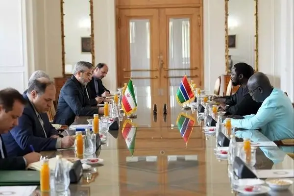 Iran acting FM meets top Gambia diplomat as the two states officially restore diplomatic ties