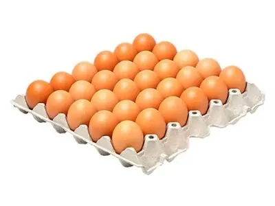 نحوه چیدمان تخم مرغ + فیلم