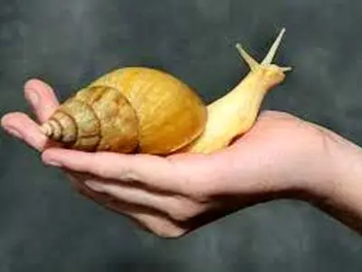 asdasd