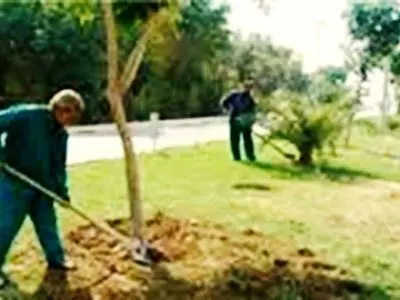 اضافه‌کاری بدون حقوق انجام می‌دهیم/معترضان فیش‌های حقوقی خود را ارایه کنند