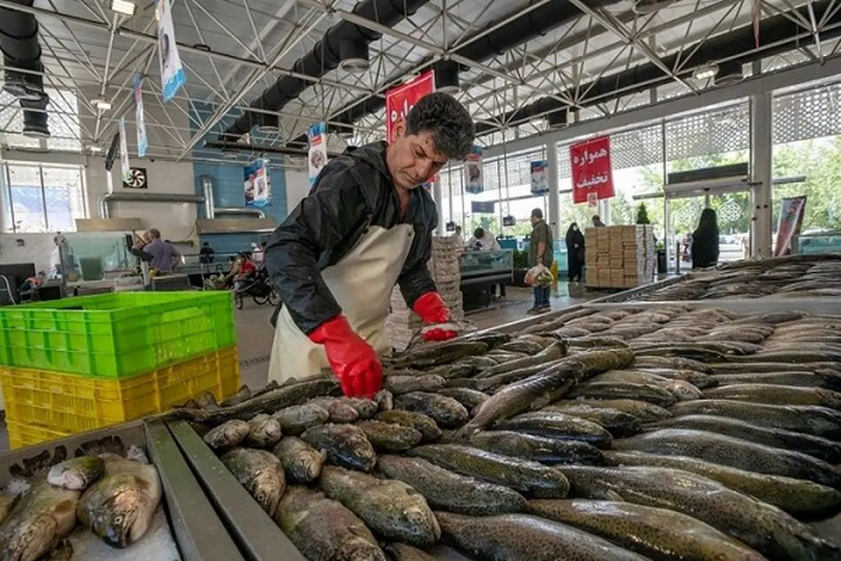اعلام جدیدترین قیمت ماهی در میادین تهران 