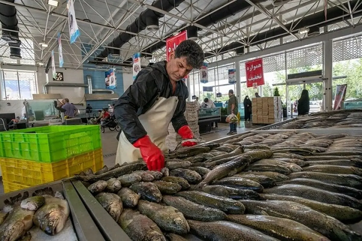 اعلام جدیدترین قیمت ماهی در میادین تهران 