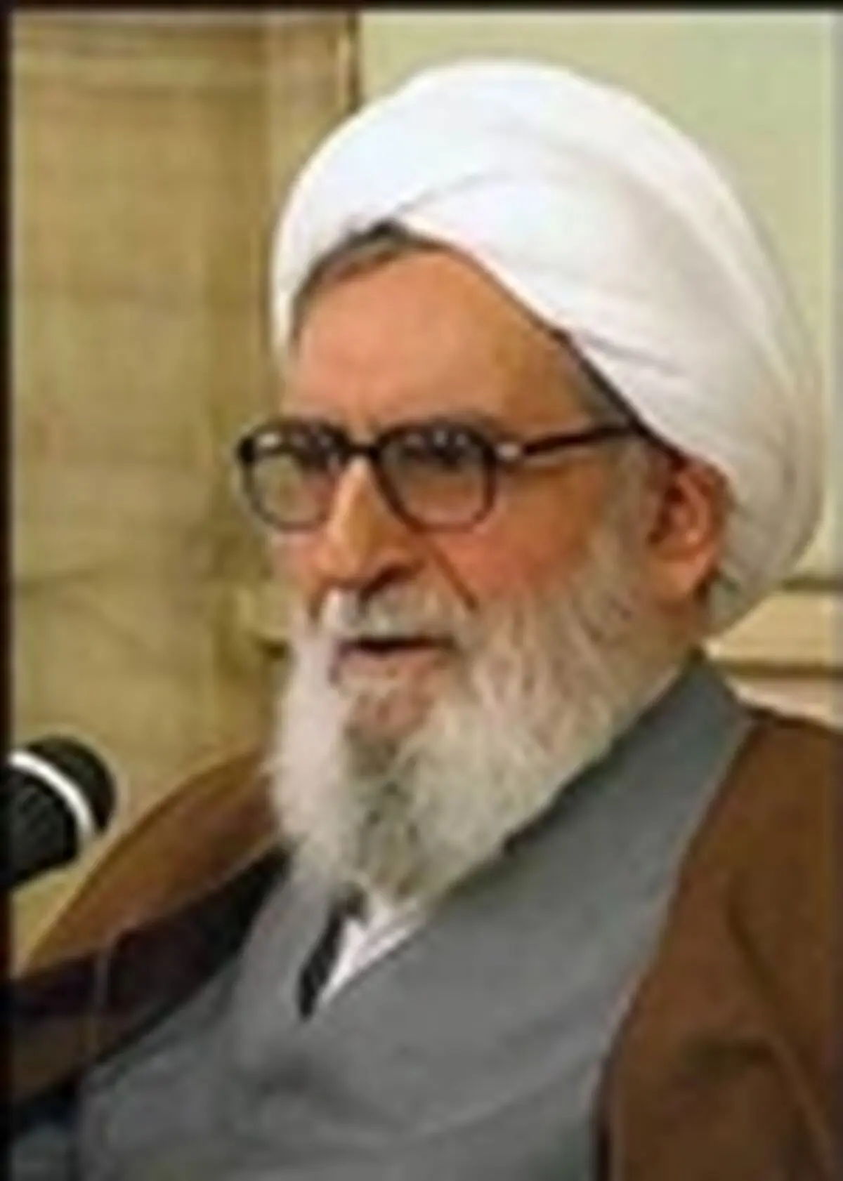 تیم‌مذاکره کننده هسته‌ای برخلاف نظرات مقام معظم‌رهبری عمل نمی‌کند