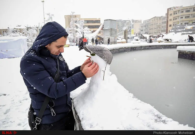 صبح برفی تهران