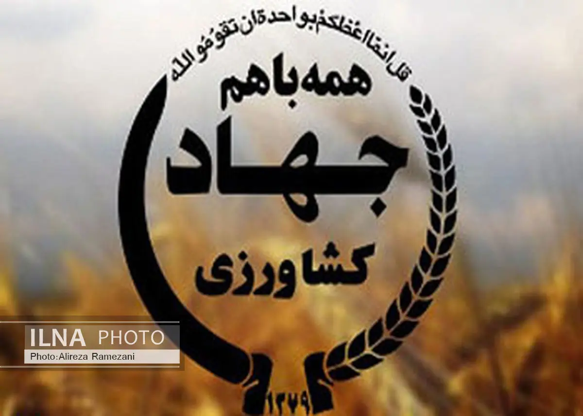 توانمندسازی جامعه محلی برای مشارکت جمعی زنان تشکیل می‌شود