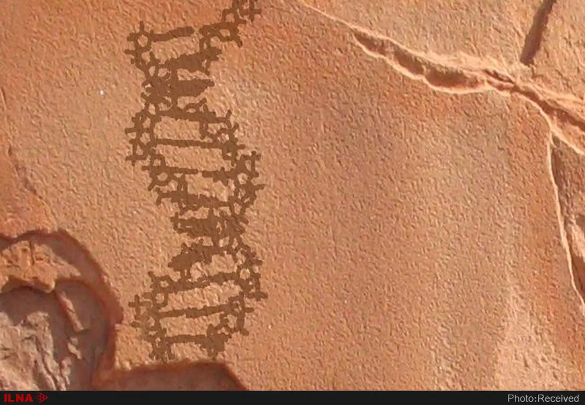 DNA باستانی زندگی در گذشته را بازگو نمی‌کند