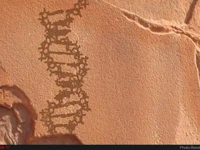 DNA باستانی زندگی در گذشته را بازگو نمی‌کند