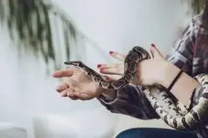 مار، جدیدترین حیوان خانگی مردم