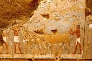 کشف مقبره مصری ۴۳۰۰ ساله با نقاشی های دیواری خیره کننده