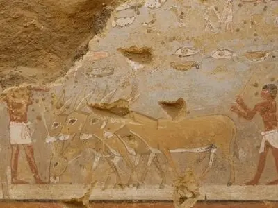 کشف مقبره مصری ۴۳۰۰ ساله با نقاشی های دیواری خیره کننده