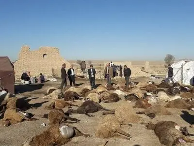 ۱۳۵۰ دام سبک و سنگین در زلزله آذربایجان‌شرقی تلف شد