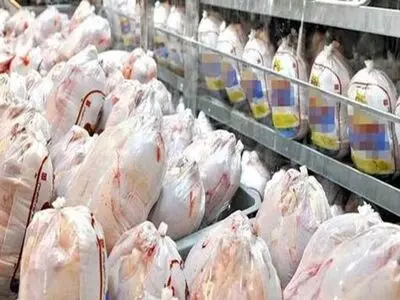 خرید هزارتن گوشت مرغ مازاد ازتولیدکنندگان گلستان