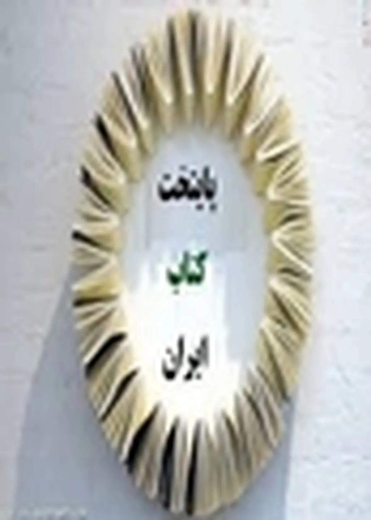 گمانه‌زنی‌ها درباره پایتخت کتاب ایران تکذیب شد