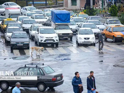 بارش باران در قزوین 